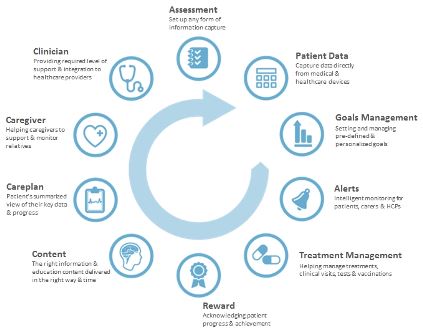 The interventions wheel