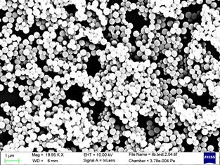 nanoparticles used to encapsulate drugs