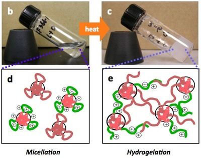 Photos and drawing showing change in properties of the gel on mixing with water and heating
