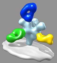 The structure of Ebola virus with the ZMapp antibodies attached