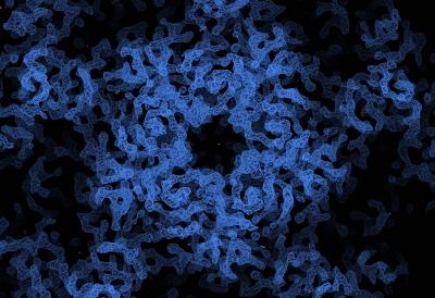 An electron density map of the Human Enterovirus 71 (EV71).