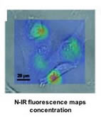 Near infrared fluorescence maps of ion concentrations in cells