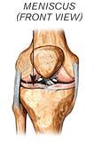 Diagram of knee