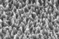 Electron microscope image of a film of plastic nanofibres