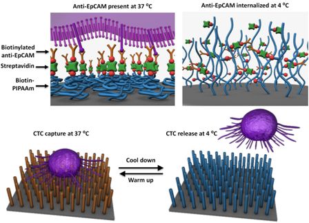 Diagram showing how the nanoscale filter operates