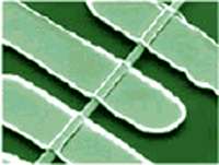 zinc oxide nanowire array